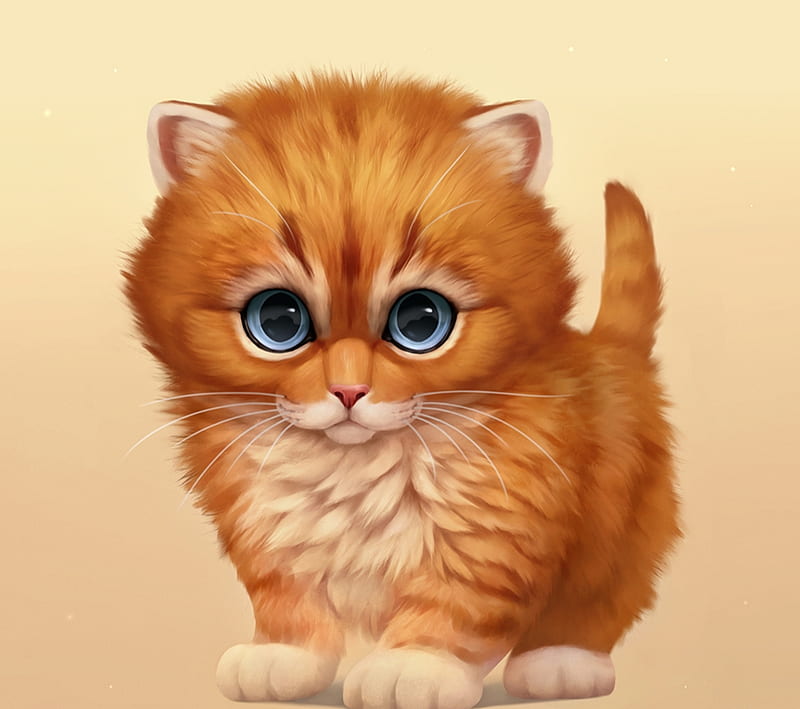 Fluffball, orange, ginger, kitten, cat, animal, chiakiro, cute, blue eyes, pisici, HD wallpaper