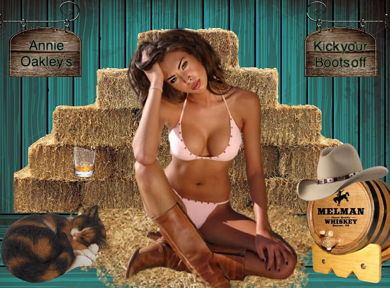Cowgirl Taking a Break, whiskey, Cowgirl, boots, cowgirl hat, cat, hay, sexy, bikini, brunette, signs, HD wallpaper