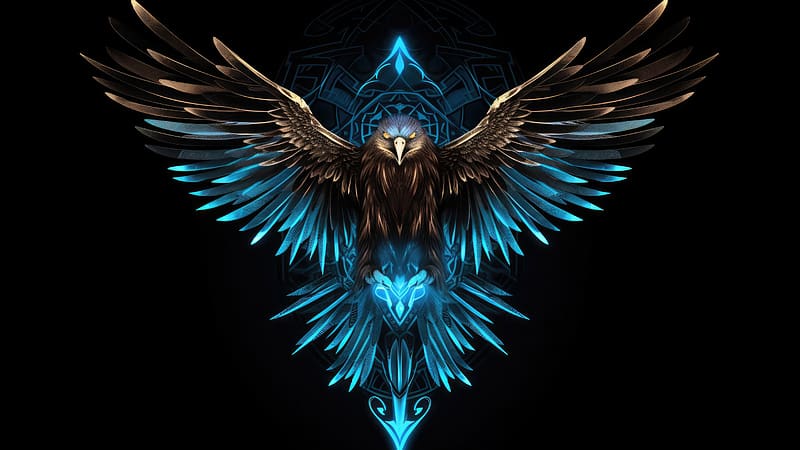 Hawk Glowing Dark , hawk, dark, artist, artwork, digital-art, dark, black, HD wallpaper