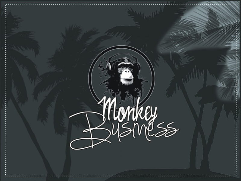 Monkey Business, monkey, humor, jrc, camara, HD wallpaper