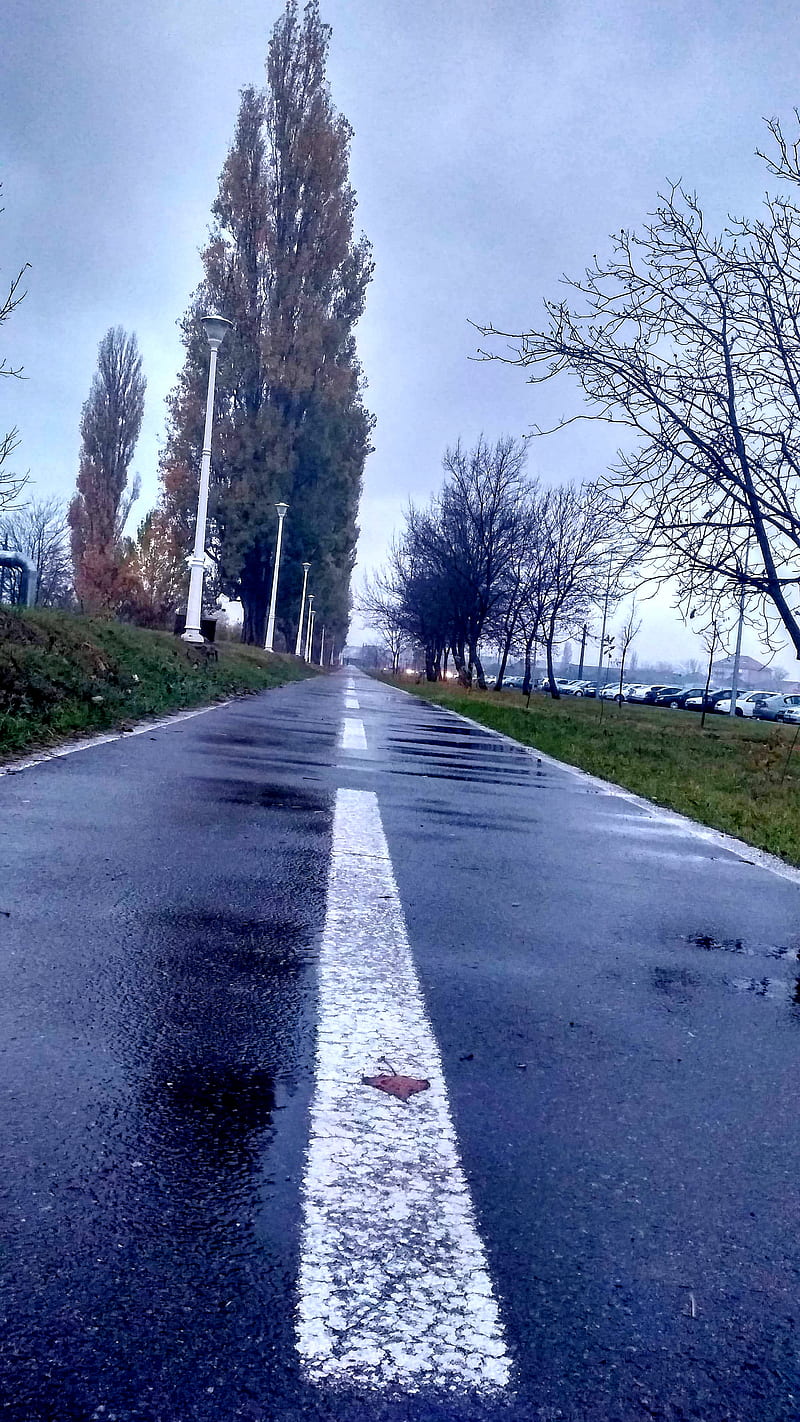 rainy autumn road, nature, weather, HD phone wallpaper