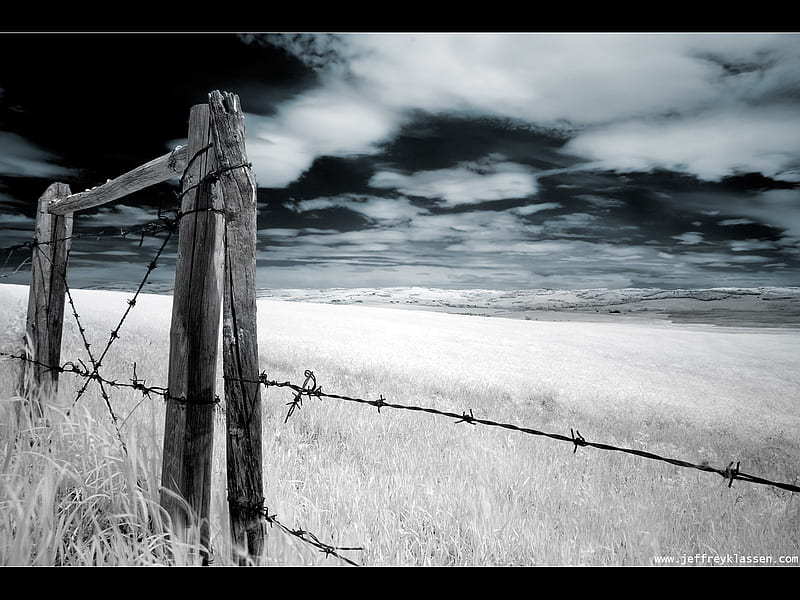 Old, Fence, Farm, Barbed Wire, Man Made, HD wallpaper
