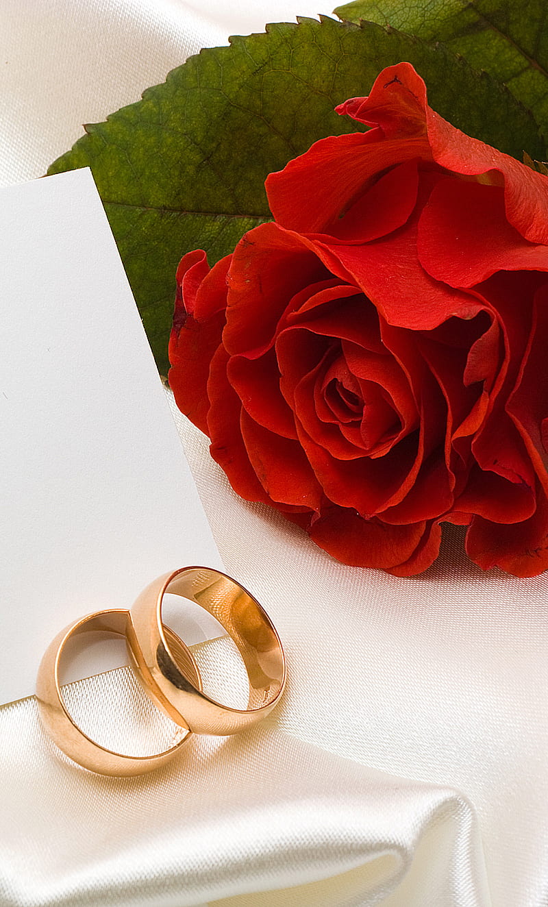 Rose Ring Box | David's Bridal