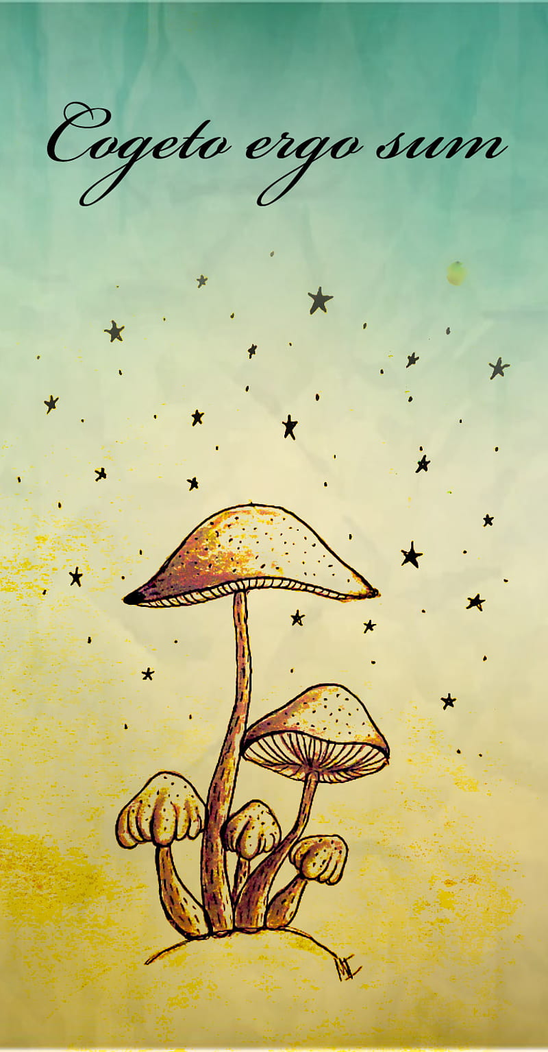 Cogeto ergo sum, alternate, art, artsy, autumn, landscape, mushrooms, rain, stoner, surreal, HD phone wallpaper
