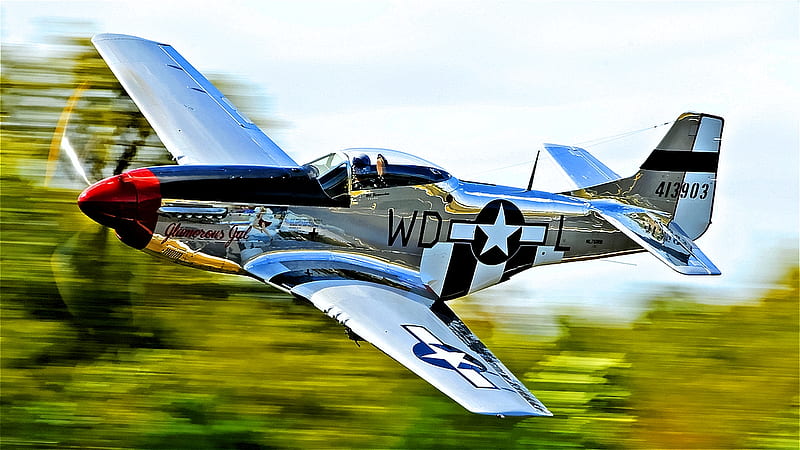 Glamorous Gal (For Immoral), mustang, fly by, fighter, bonito, p-51, classic, silver, shiny, HD wallpaper