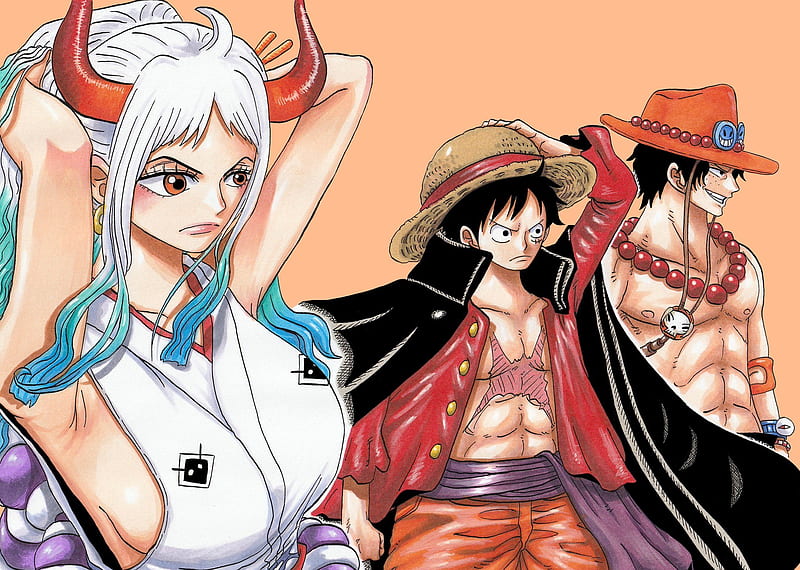 One Piece, Monkey D. Luffy , Portgas D. Ace , Yamato (One Piece), HD wallpaper