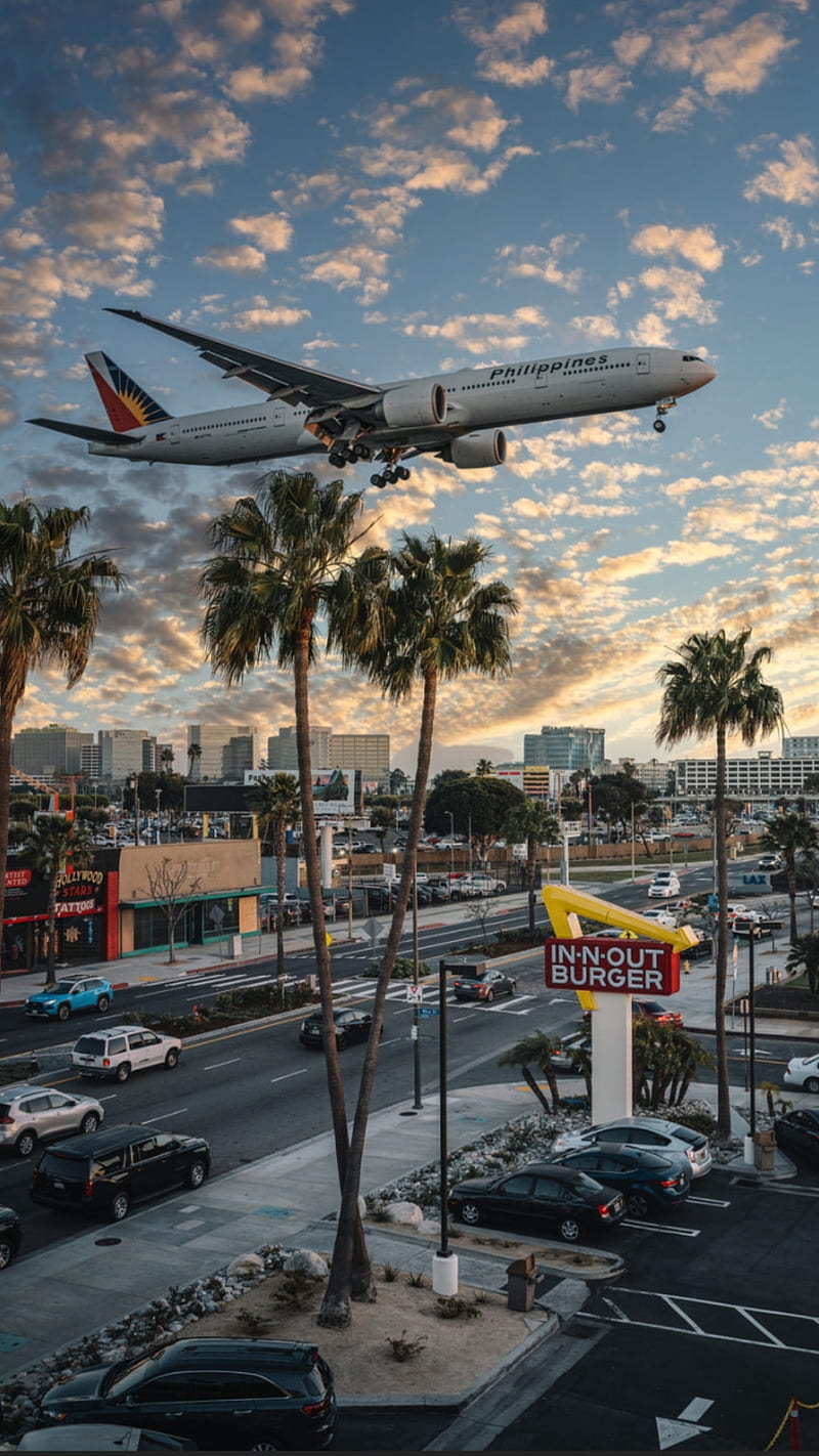 Landing, airplane, aviation, burger, city, flight, palm trees, hoot, sky,  street, HD phone wallpaper | Peakpx