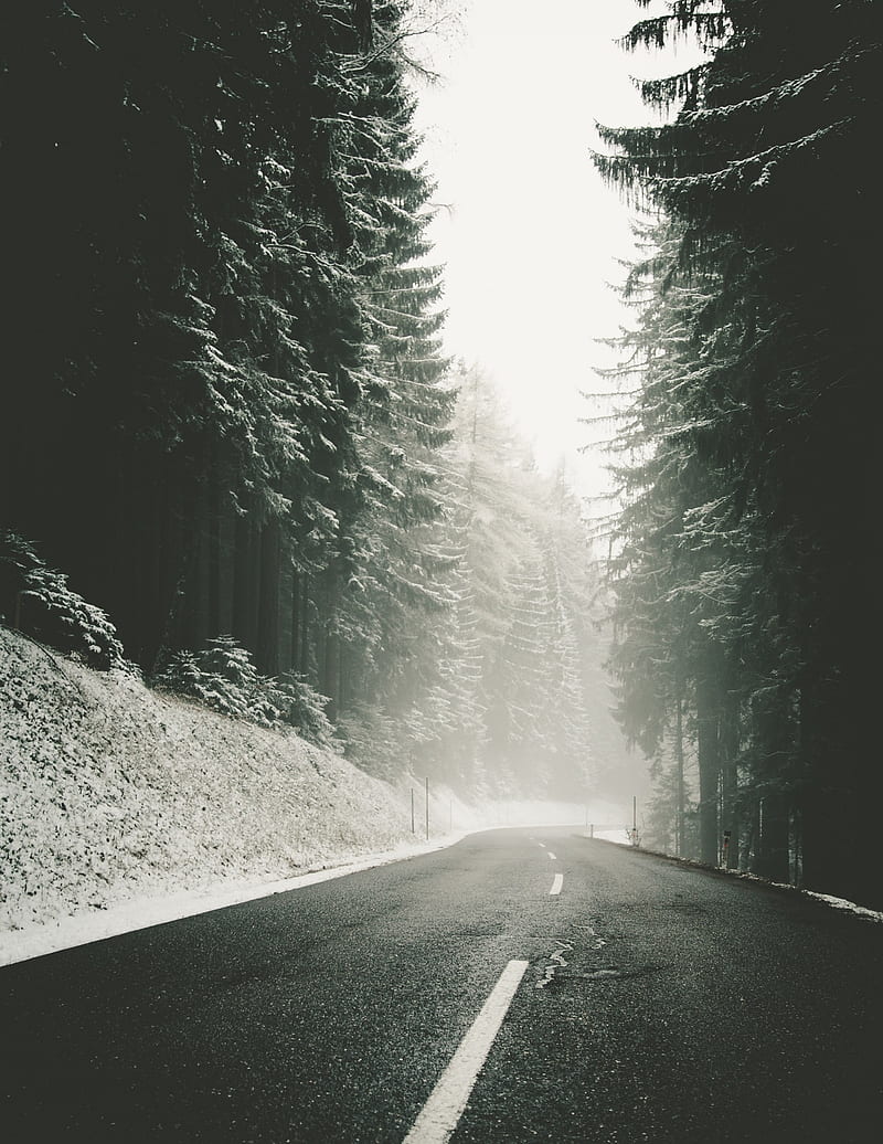 Winter Road, mountains, snow, woods, HD phone wallpaper