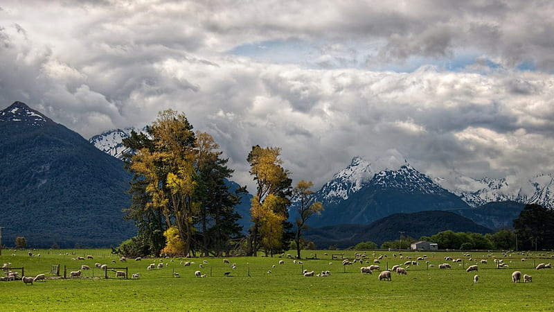 pastures in a beautiful valley, sheep, mountains, pastures, clouds, valley, HD wallpaper