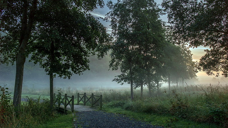 HD wallpaper: morning mood autumn morning, morning mist, fog, landscape,  sunrise | Wallpaper Flare