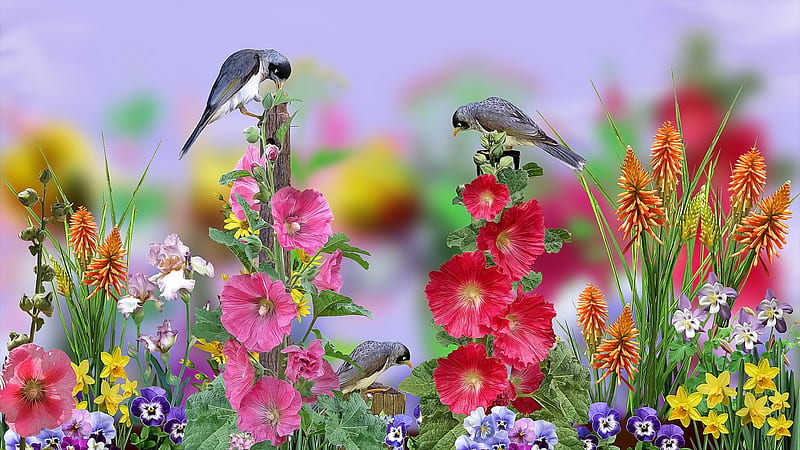 Flowers, Graphic, Bids, Birds, HD wallpaper