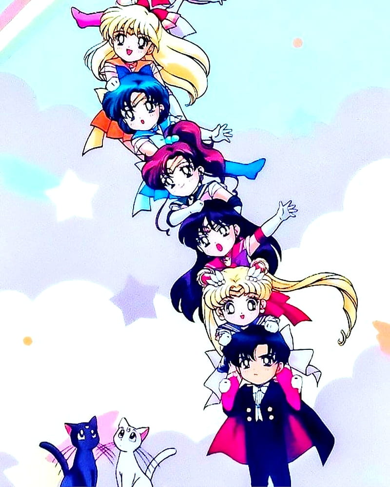 Sailor Moon Chibi, sailor guardians, sailor moon, tuxedo mask, HD phone wallpaper