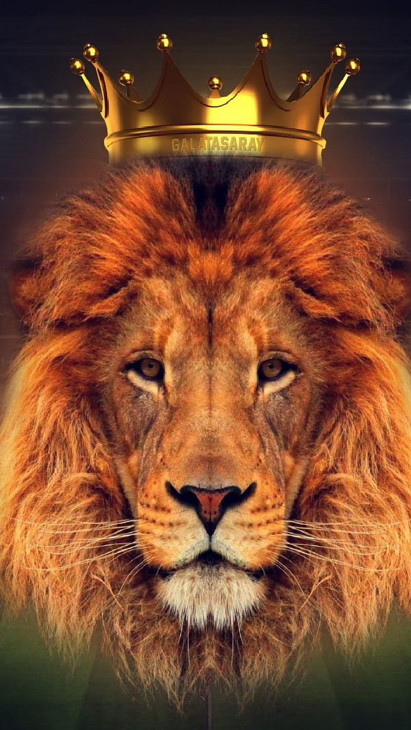 Lion King crown , king crown, art, animal, yellow, HD phone wallpaper