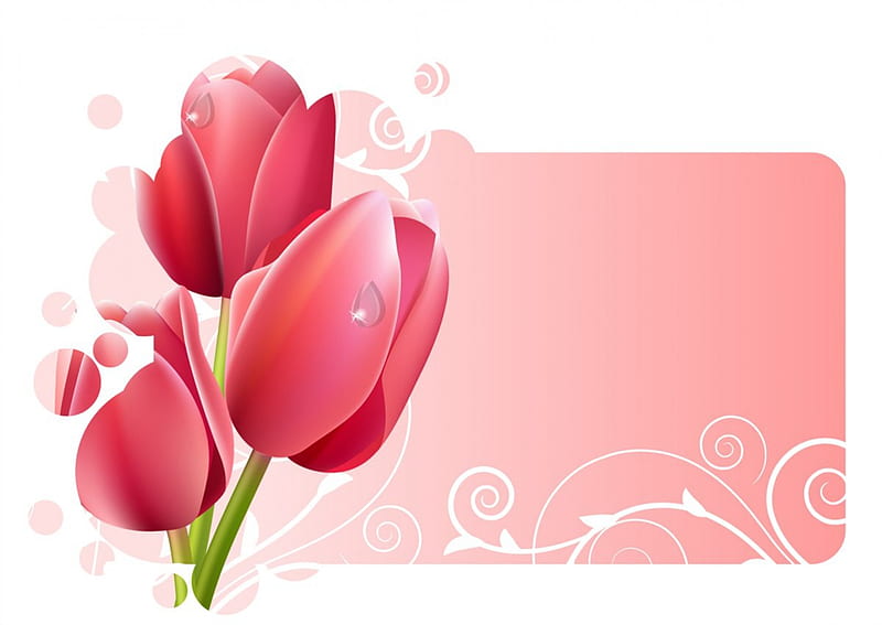 Tulip art, pattern, red, art, pink, tulip, HD wallpaper