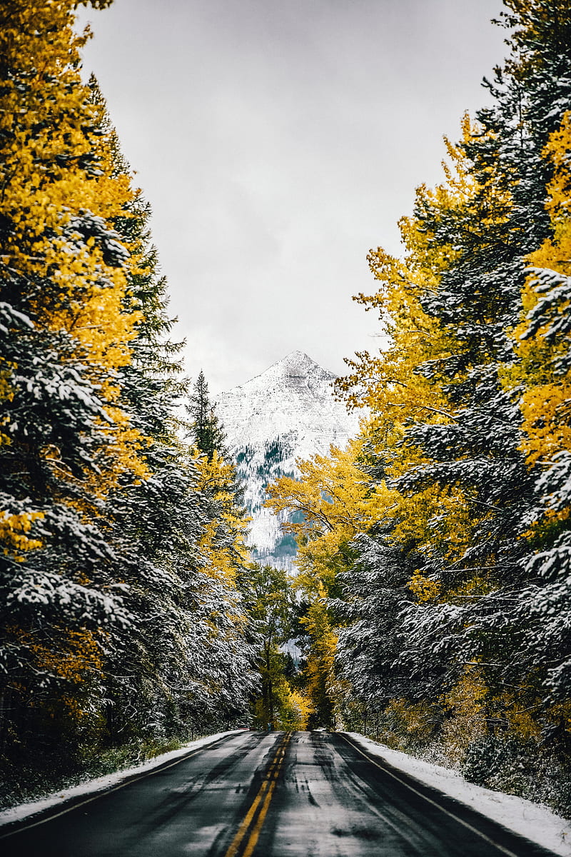 road, trees, snow, mountain, peak, HD phone wallpaper