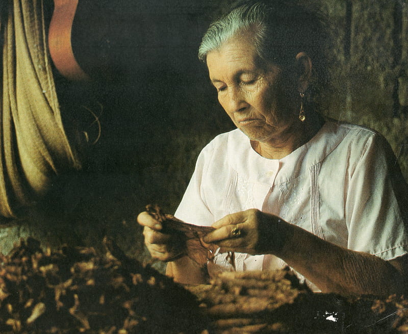 Woman at work, table, Woman, old, Working, venezuela, HD wallpaper
