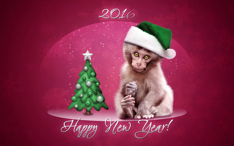 Happy New Year!, 2016, craciun, christmas, zodiac, animal, hat, card, monkey, tree, santa, green, chinese, white, pink, HD wallpaper
