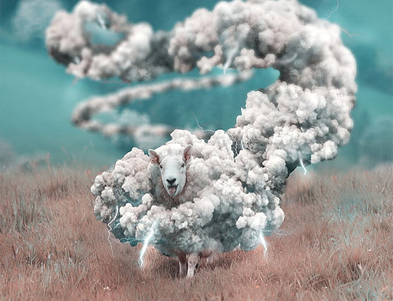 sheep, fantasy, cloud, creative, white, pink, surreal, blue, oaie, HD wallpaper