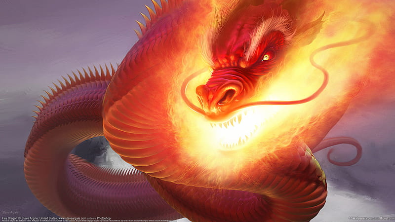 Shenron, fire, dbz, flame, dragonballgt, dragonball, dragonballz, dragon, HD wallpaper
