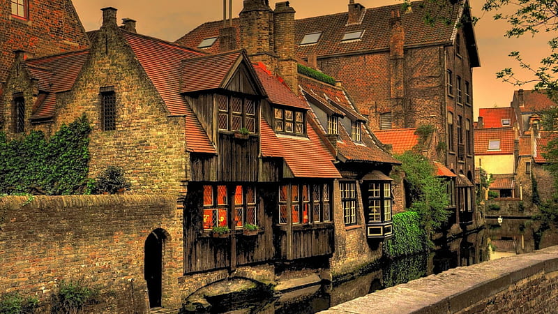 beautiful canal in bruges belgium, bricks, house, city, canal, vines, HD wallpaper