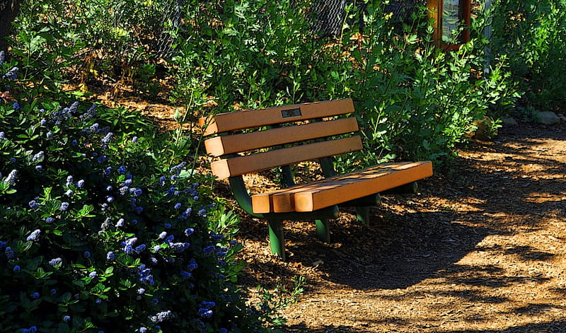 Shady Seat, Parks, Gardens, Paths, Benches, Nature, HD wallpaper