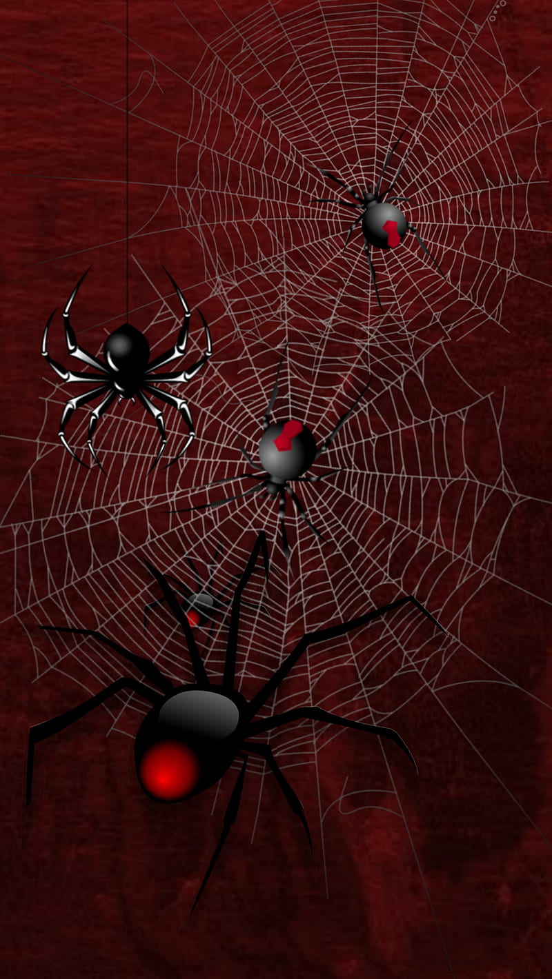 Dark spider man web iPhone Wallpaper - iPhone Wallpapers