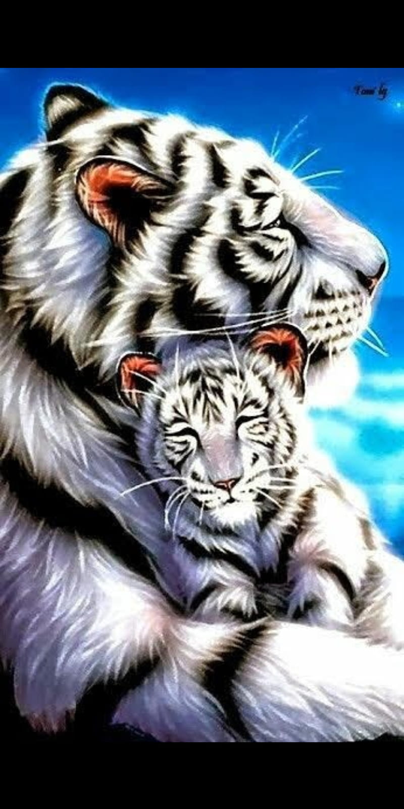 white tiger, and her cub, HD phone wallpaper