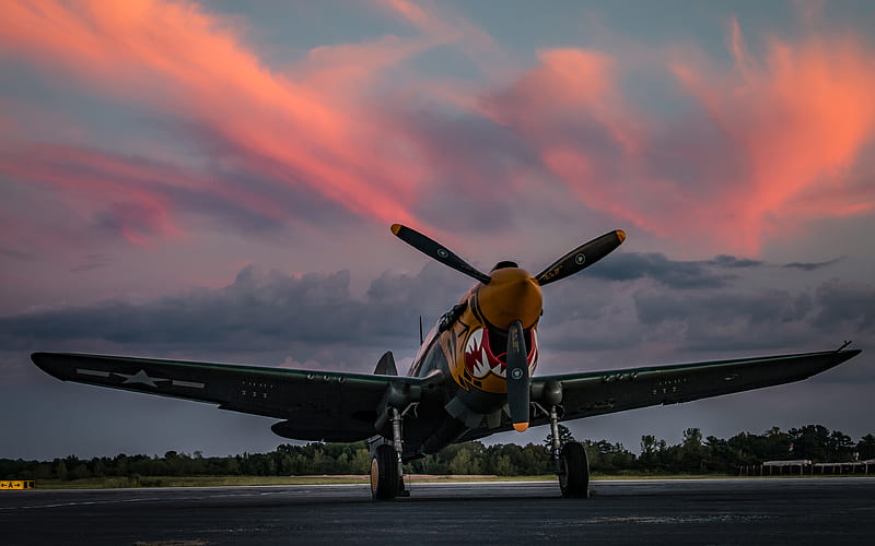 P-40K Warhawk, Aleutian Tiger old aircraft, World War II, US fighter, Curtiss P-40 Warhawk, HD wallpaper