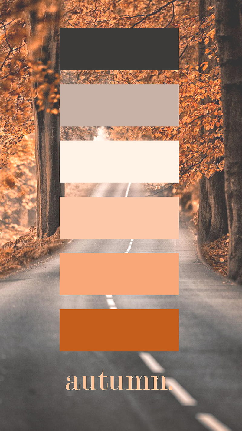 Autumn, fall, trees, background, leaves, nature, orange, season, colorseperation, abstract, HD phone wallpaper