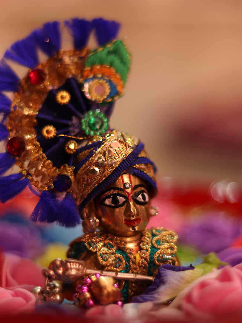 Ladoo gopal, #god, #janamastmi, #bhagwan, #krishna, HD phone ...