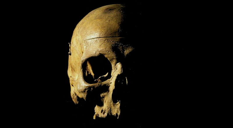 We all end up like this, goth, skeleton, head, dark, skull, HD wallpaper
