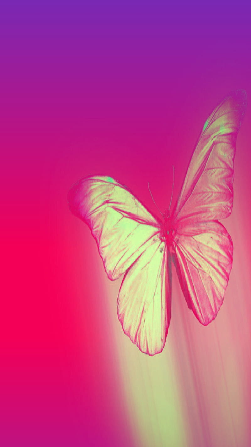 Happy trails, butterfly, pink, colorful, abstract, blue, HD phone ...