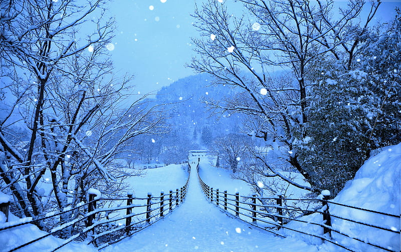 Winter Roads Of Japan , winter, roads, nature, japan, HD wallpaper