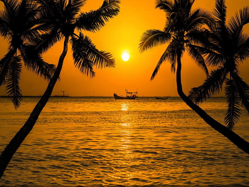 Sunset, Sea, Silhouette, Coconut trees, HD wallpaper
