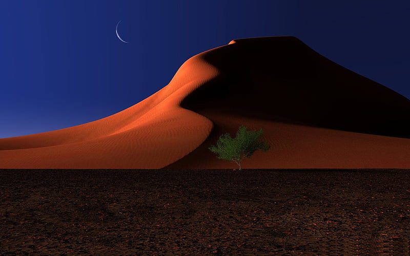 night in the desert-Amazing desert scenery, HD wallpaper
