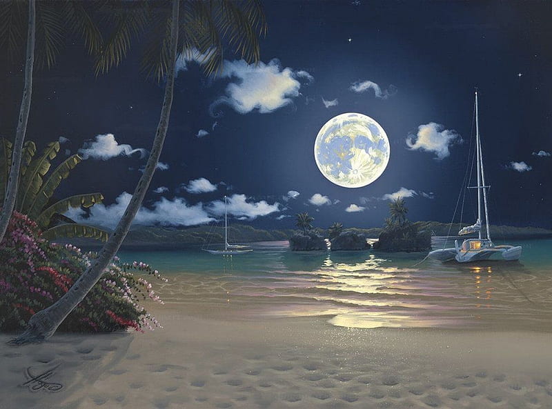 Moonlit Islands, beach, art, moon, boats, clouds, sky, sea, palms, HD wallpaper
