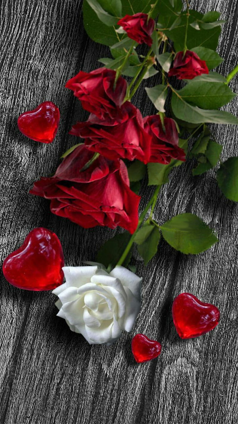 hearts and roses, love, red, white, wood, HD phone wallpaper