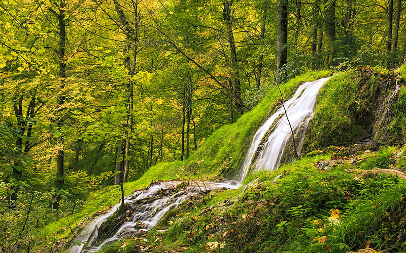 forest, waterfall, rock, green grass, forest waterfall, mountain river, HD wallpaper