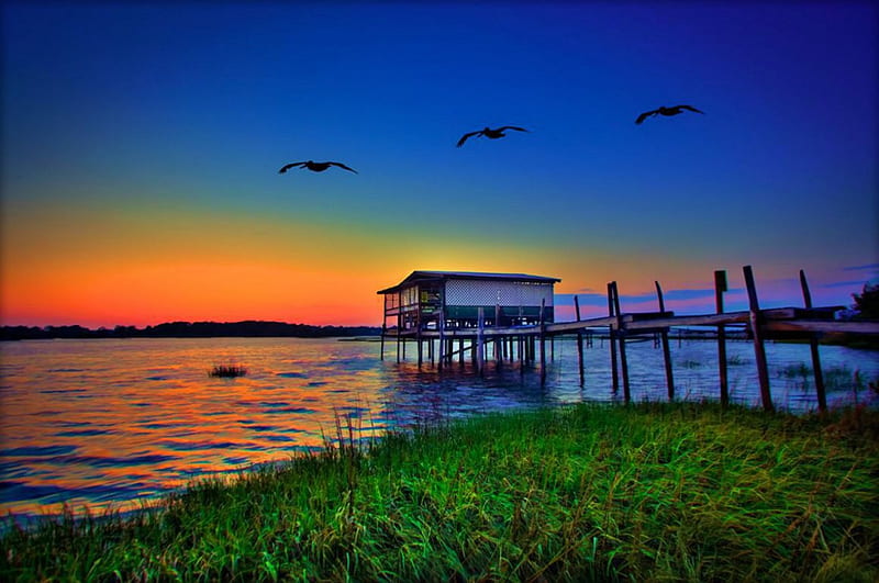 Sunst ove Cedar Key, Florida, water, pier, birds, evening, cabin, sky, HD wallpaper