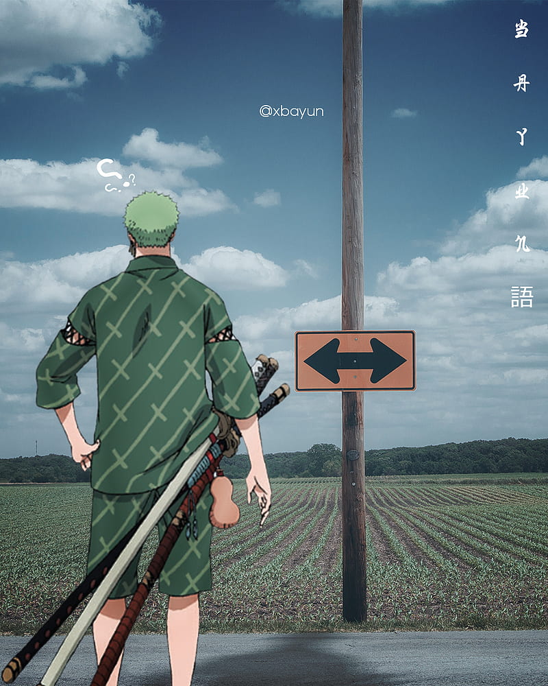 Roronoa Zoro , one piece, one piece edit, roronoa zoro, zoro edit, zoro santoryu, HD phone wallpaper