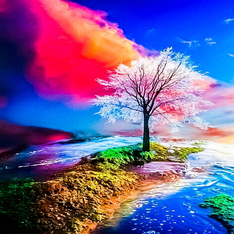Mother Nature Ocean Tree Colours River Reflection Clouds Sky Hd Wallpaper Peakpx