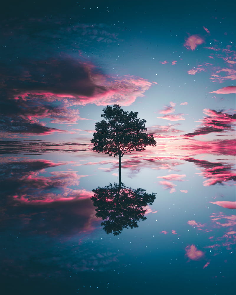 stars, nature, sky, reflection, water, clouds, symmetry, trees, pink, HD phone wallpaper