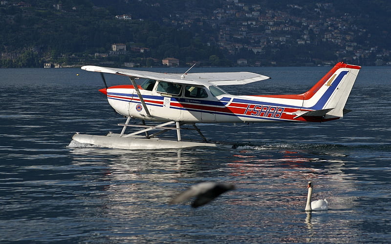 Seaplane and Swan, seaplane, swan, Italy, lake, Como, HD wallpaper