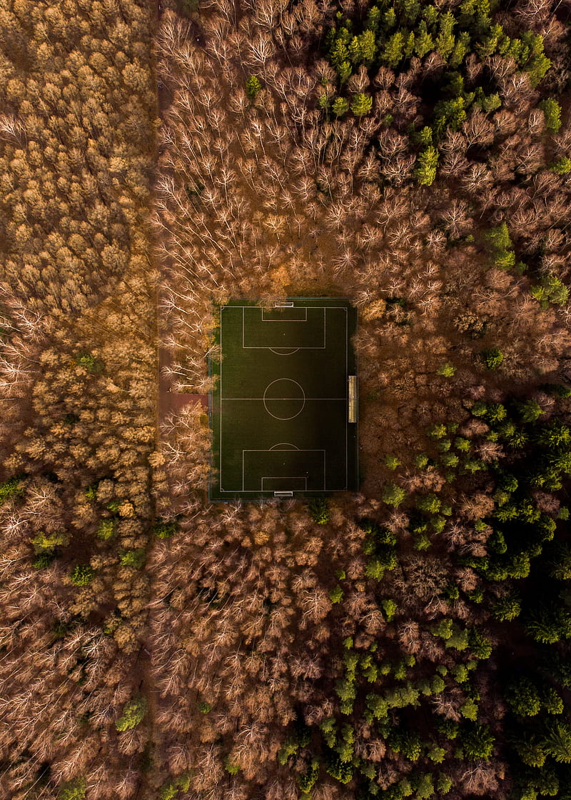 football field, playground, aerial view, trees, overview, HD phone wallpaper