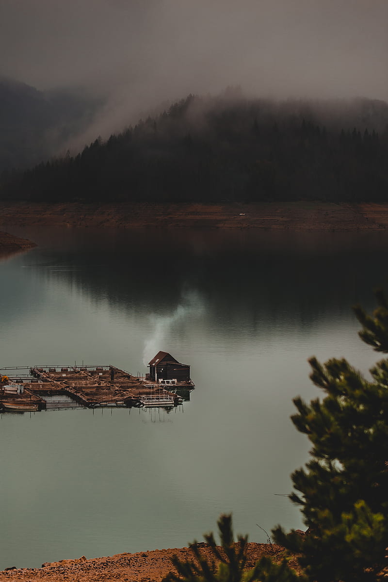 house, lake, forest, fog, HD phone wallpaper