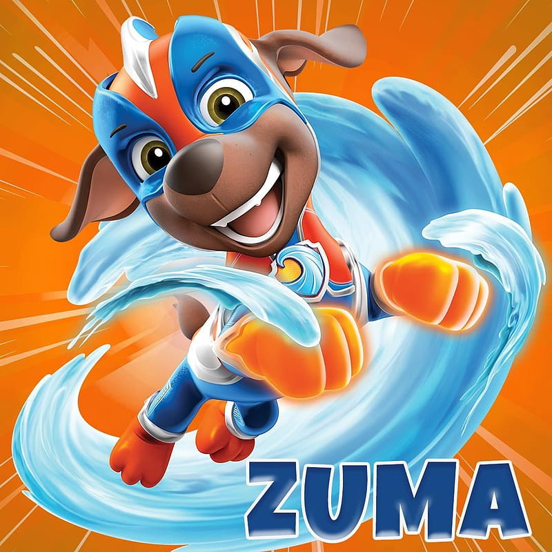 Rocky & Zuma, Paw Patrol Relation Ship Wiki