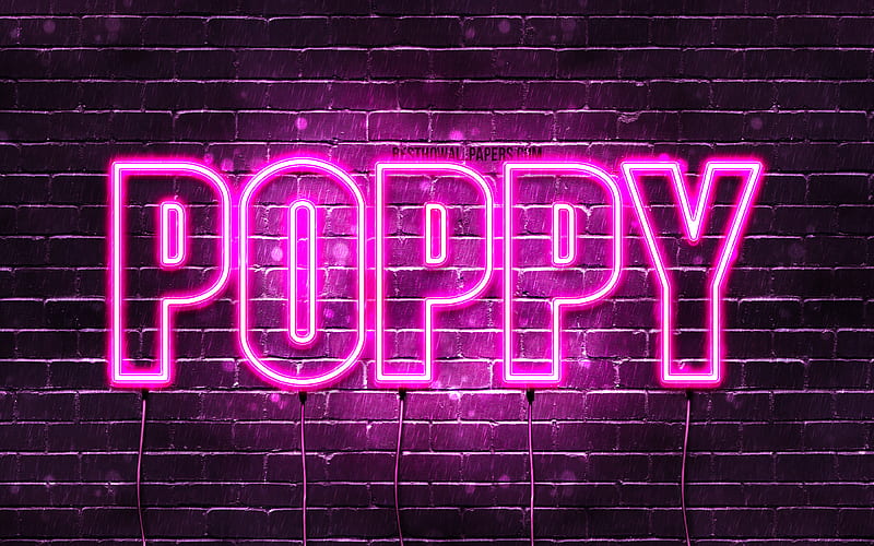 Poppy with names, female names, Poppy name, purple neon lights, horizontal text, with Poppy name, HD wallpaper