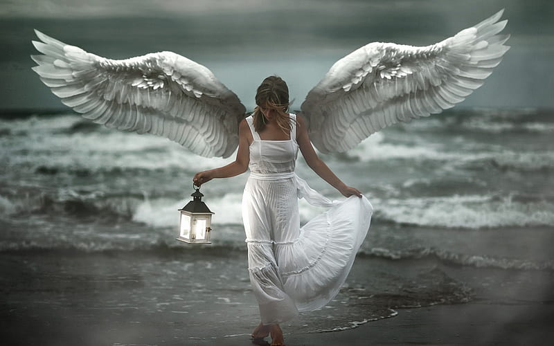 Angel, wings, lantern, model, woman, beach, vara, girl, summer, white, HD wallpaper