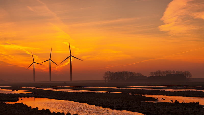 turbine windmills in motion at sunset, turbines, windmills, birds, wetlands, farms, sunset, HD wallpaper