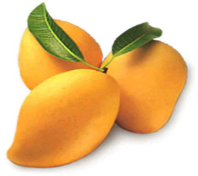 Sweet Mangoes, summer fruit, HD wallpaper